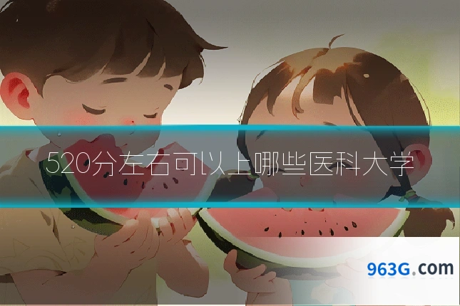520分左右可以上哪些医科大学