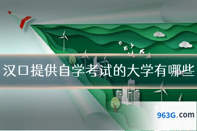 汉口提供自学考试的大学有哪些