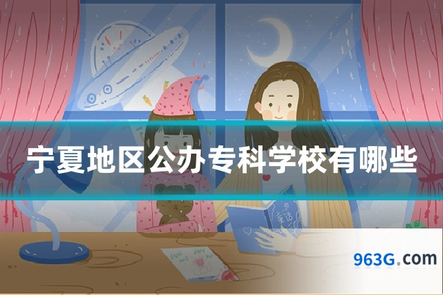宁夏地区公办专科学校有哪些