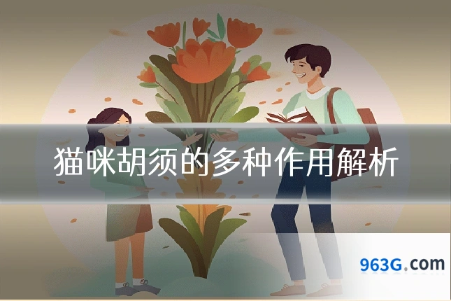 猫咪胡须的多种作用解析