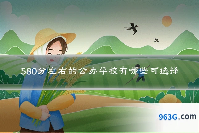 580分左右的公办学校有哪些可选择