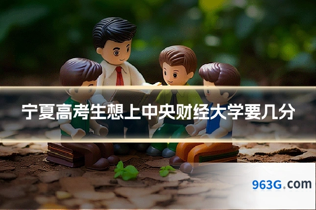 宁夏高考生想上中央财经大学要几分