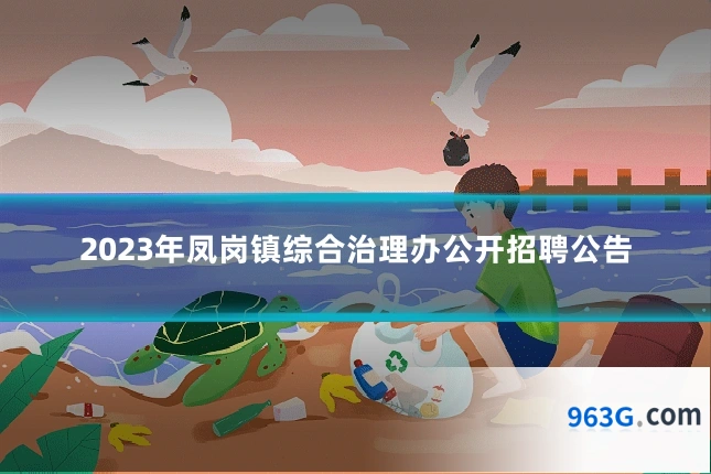 2023年凤岗镇综合治理办公开招聘公告