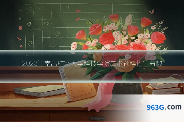 2023年南昌航空大学科技学院二本预科招生分数