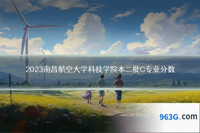 2023南昌航空大学科技学院本二批C专业分数