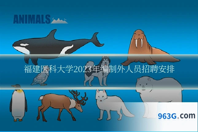 福建医科大学2023年编制外人员招聘安排