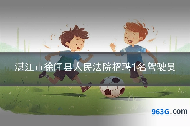湛江市徐闻县人民法院招聘1名驾驶员