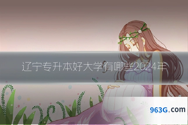 辽宁专升本好大学有哪些2024年