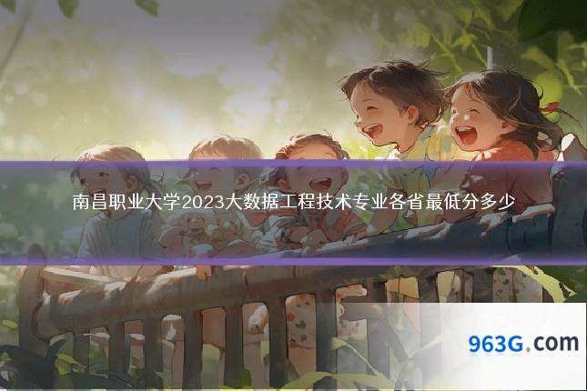 南昌职业大学2023大数据工程技术专业各省最低分多少
