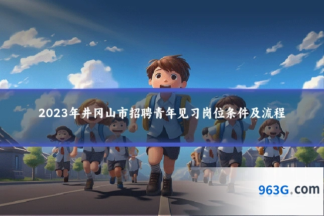 2023年井冈山市招聘青年见习岗位条件及流程