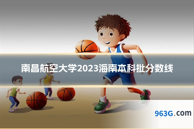 南昌航空大学2023海南本科批分数线