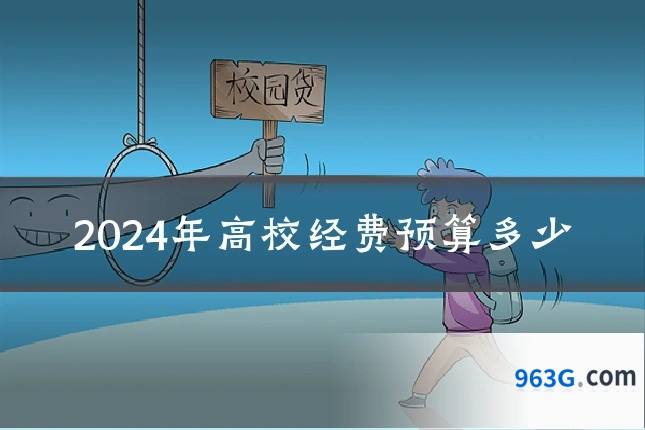 2024年高校经费预算多少