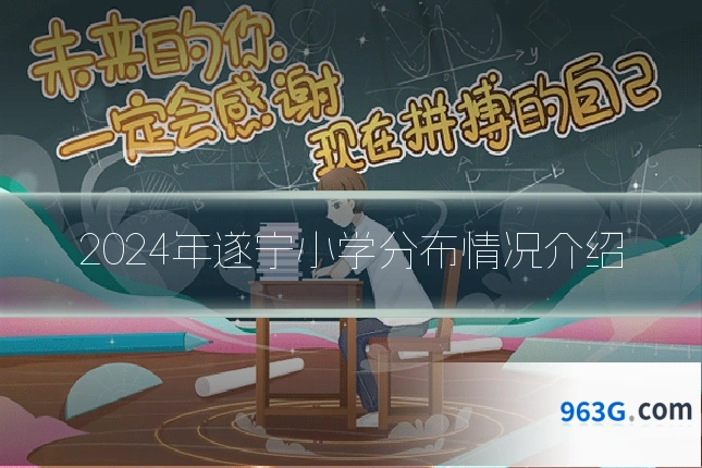 2024年遂宁小学分布情况介绍