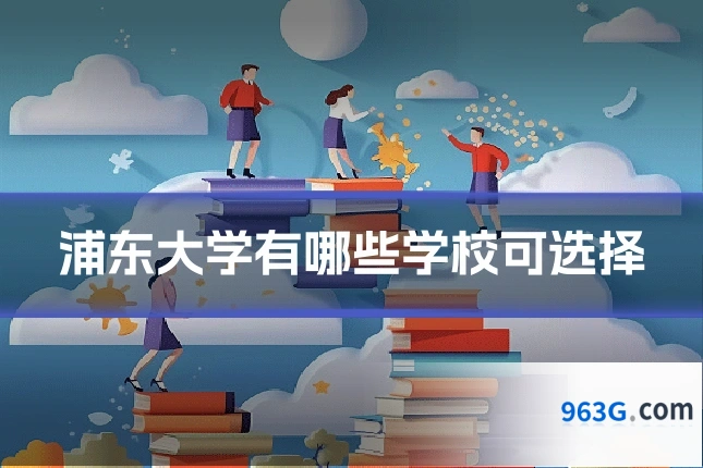浦东大学有哪些学校可选择