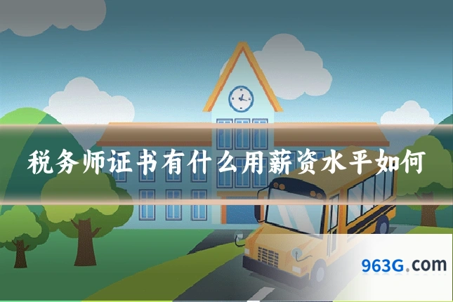 税务师证书有什么用薪资水平如何