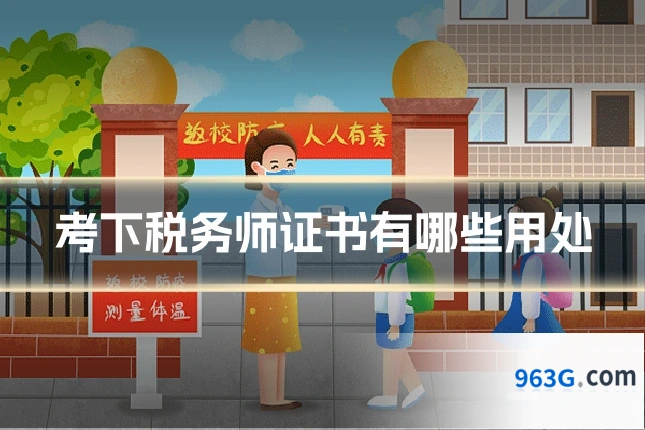 考下税务师证书有哪些用处