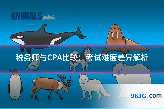税务师与CPA比较:考试难度差异解析