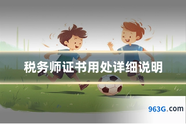 税务师证书用处详细说明
