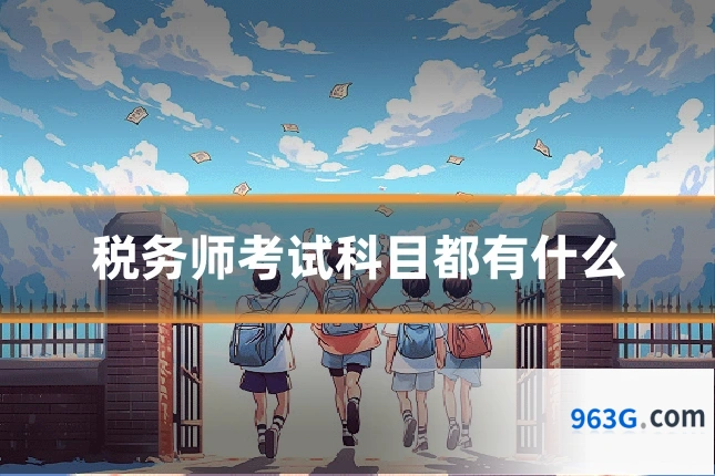 税务师考试科目都有什么