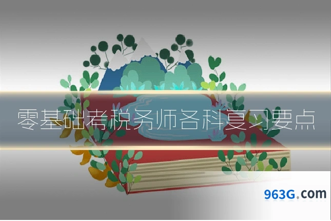 零基础考税务师各科复习要点
