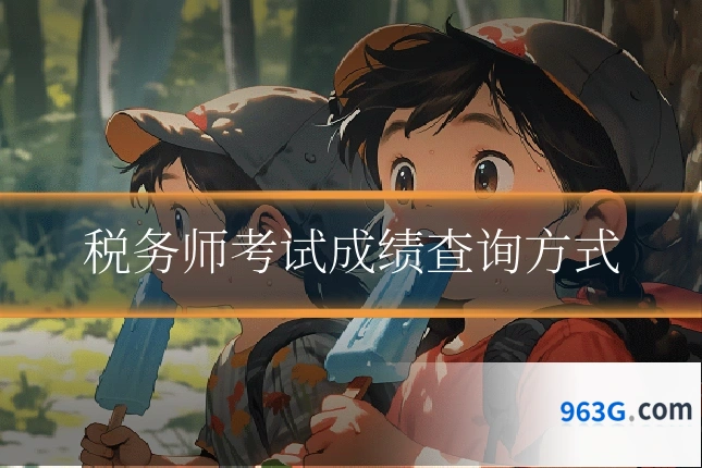 税务师考试成绩查询方式