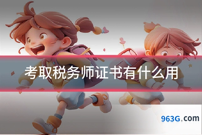 考取税务师证书有什么用