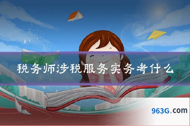 税务师涉税服务实务考什么