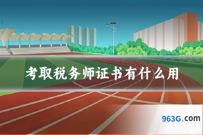 考取税务师证书有什么用