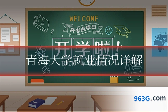 青海大学就业情况详解