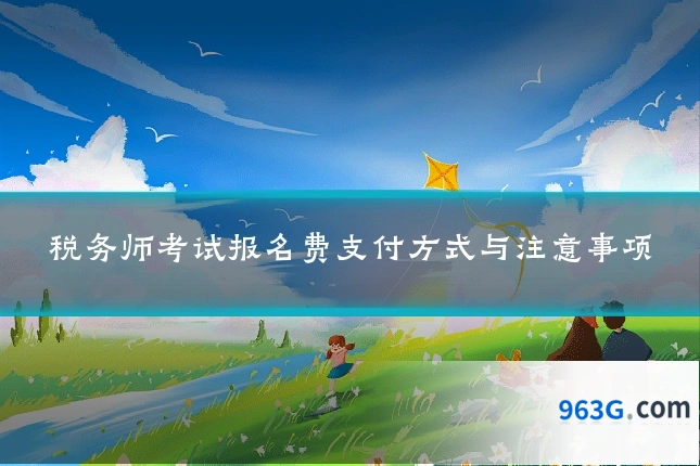 税务师考试报名费支付方式与注意事项