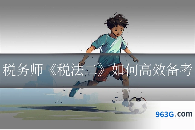 税务师《税法二》如何高效备考