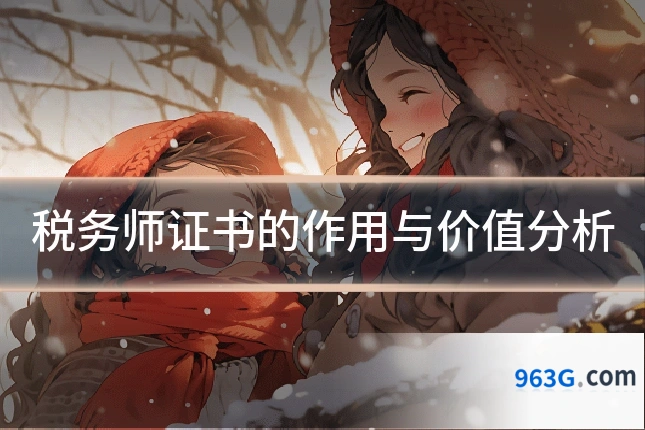 税务师证书的作用与价值分析