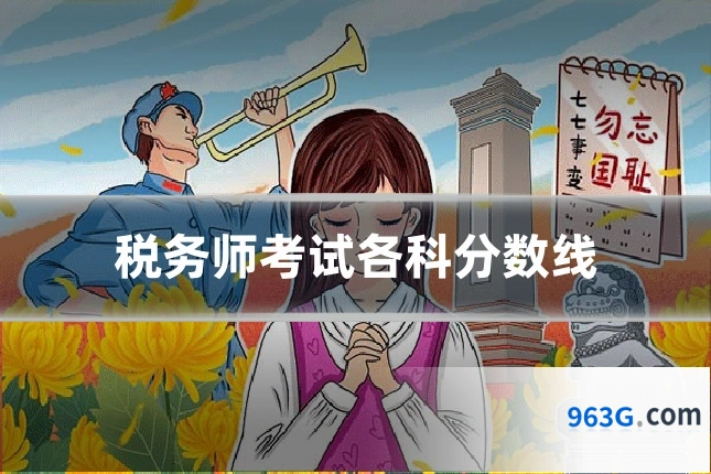 税务师考试各科分数线