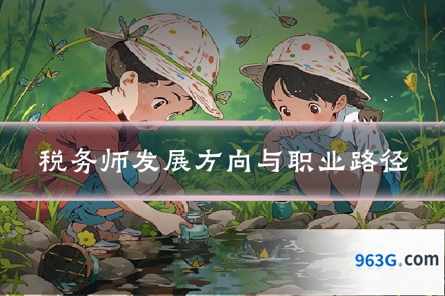 税务师发展方向与职业路径