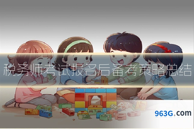 税务师考试报名后备考策略总结