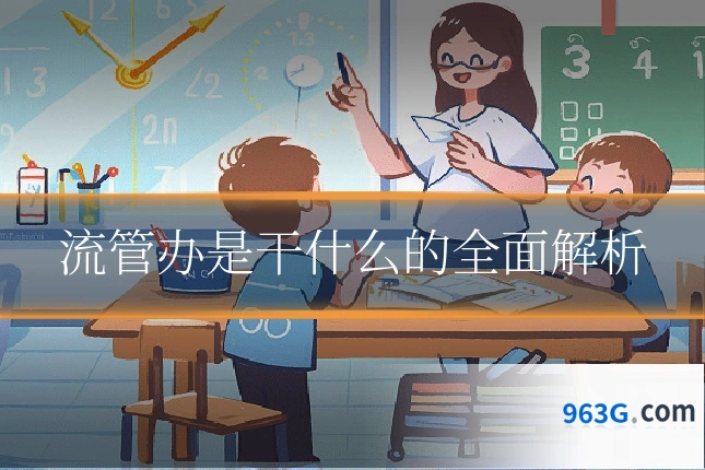 流管办是干什么的全面解析