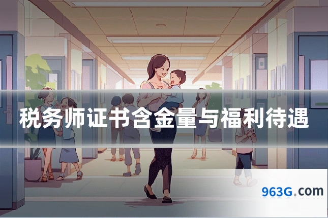 税务师证书含金量与福利待遇