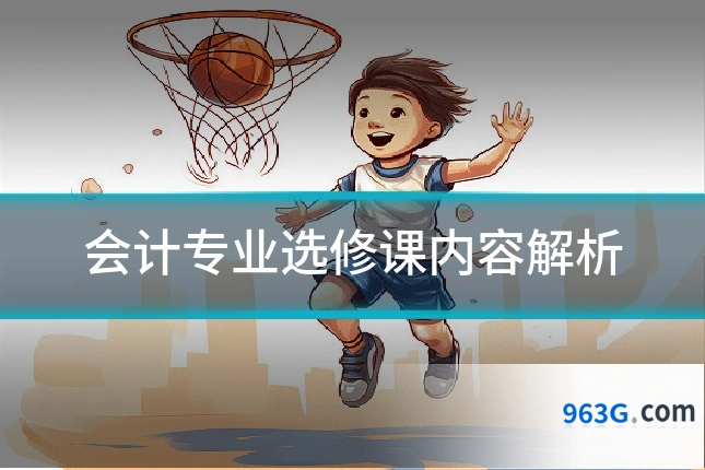会计专业选修课内容解析