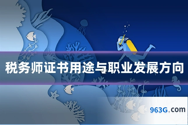 税务师证书用途与职业发展方向