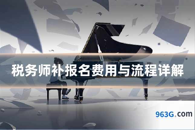 税务师补报名费用与流程详解