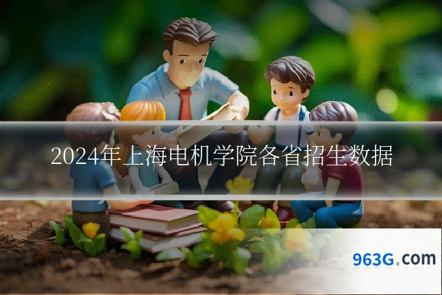 2024年上海电机学院各省招生数据