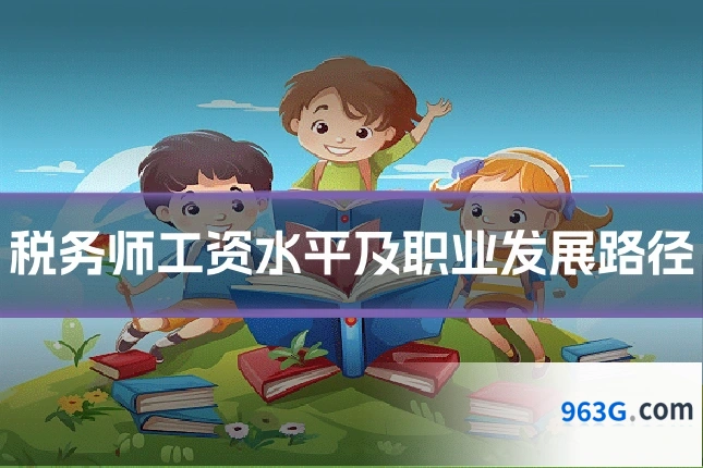 税务师工资水平及职业发展路径