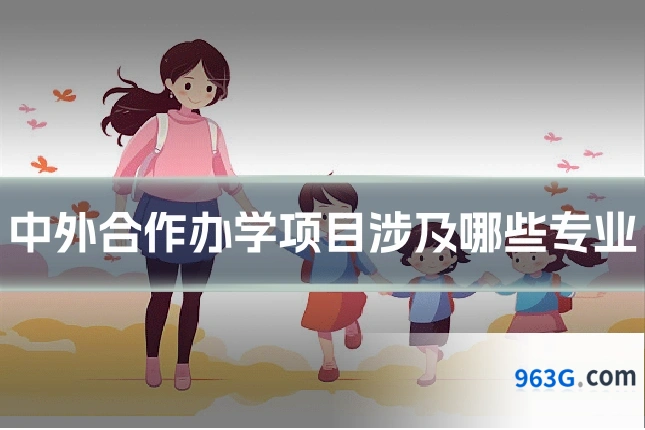 中外合作办学项目涉及哪些专业