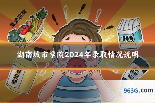 湖南城市学院2024年录取情况说明