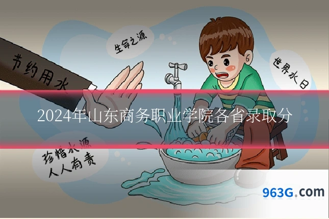 2024年山东商务职业学院各省录取分