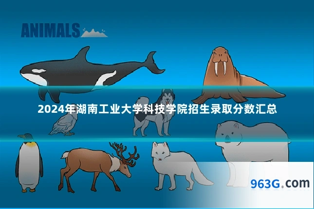 2024年湖南工业大学科技学院招生录取分数汇总