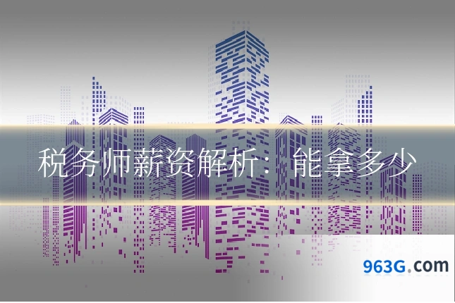 税务师薪资解析：能拿多少