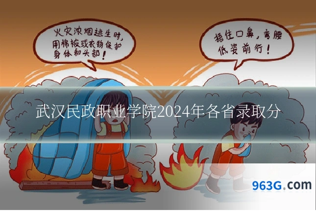 武汉民政职业学院2024年各省录取分