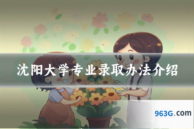 沈阳大学专业录取办法介绍