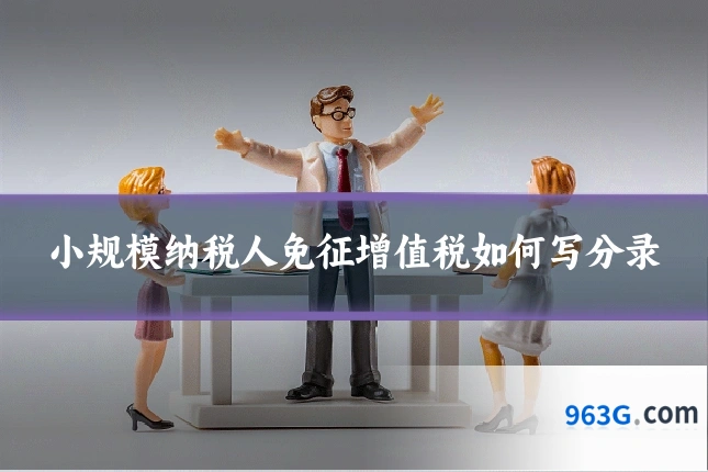小规模纳税人免征增值税如何写分录
